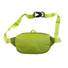 画像をギャラリービューアに読み込む, 2019 N.O.S. PATAGONIA ULTRALIGHT BLACK HOLE MINI HIP PACK