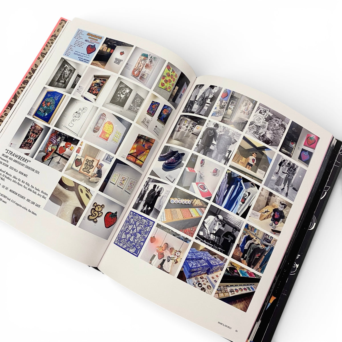 ANARCHIC ADJUSTMENT × insane A.I BOOK – TOXGO