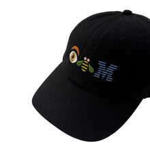 画像をギャラリービューアに読み込む, IBM “EYE-BEE-M” 6PANEL CAP

