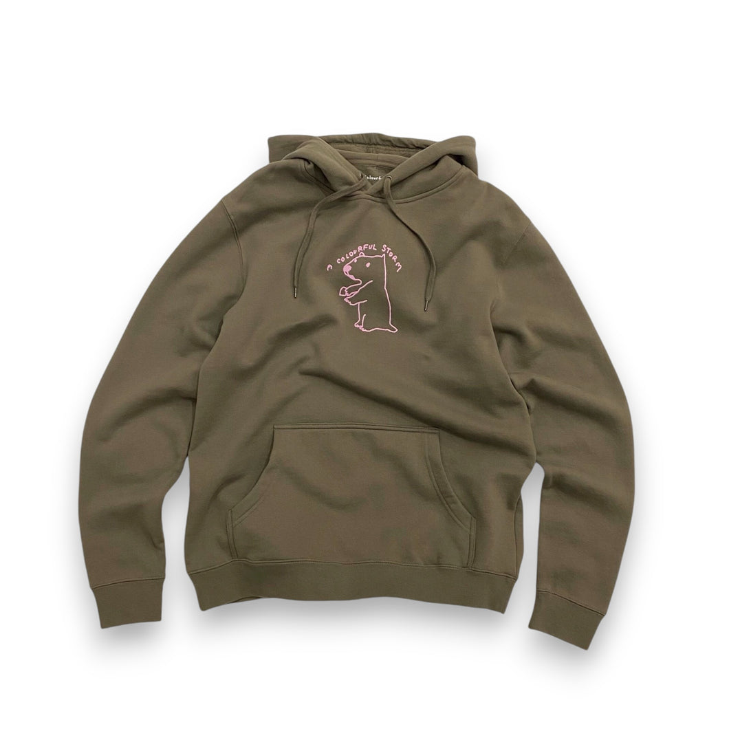 A COLORFUL STORM / CAPYBARA HOODIE