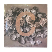 画像をギャラリービューアに読み込む, NUMERO GROUP 913 / REX “C”
