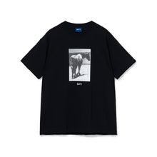 画像をギャラリービューアに読み込む, BoTT / RODEO TEE
